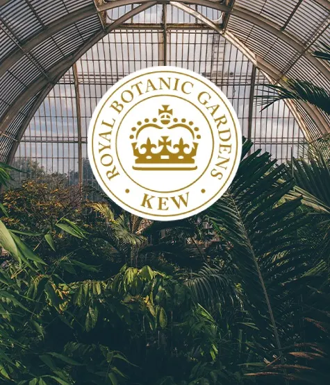 Logo Kew avec une maison des plantes Kew en arrière-plan