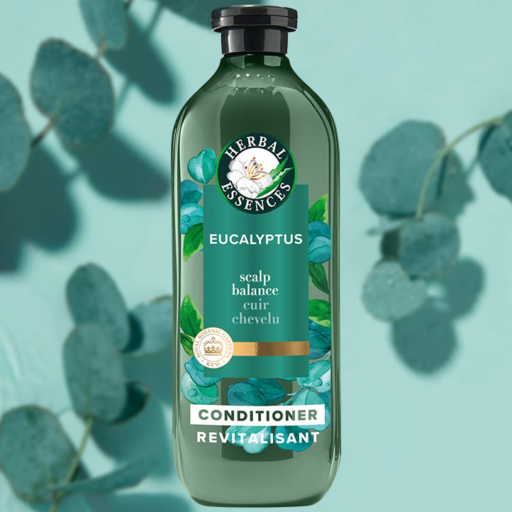 Eucalyptus sulfate free conditioner