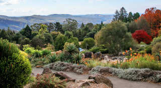 The Blue Mountains Botanical Gardens