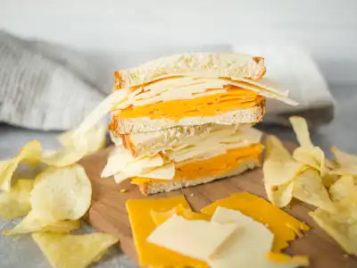 All-Time Greatest Cheese Sandwich-image
