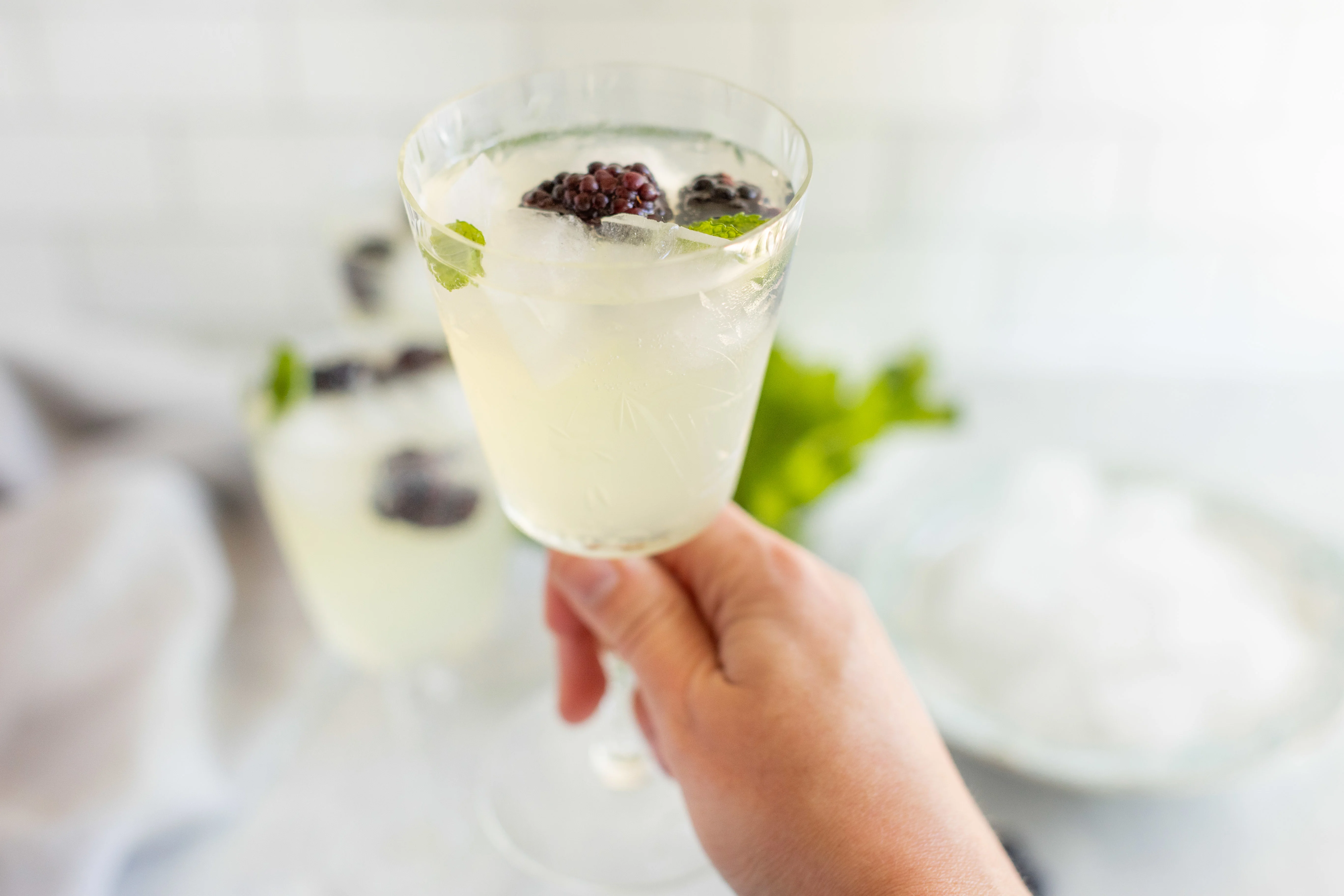 Summer Prosecco Punch