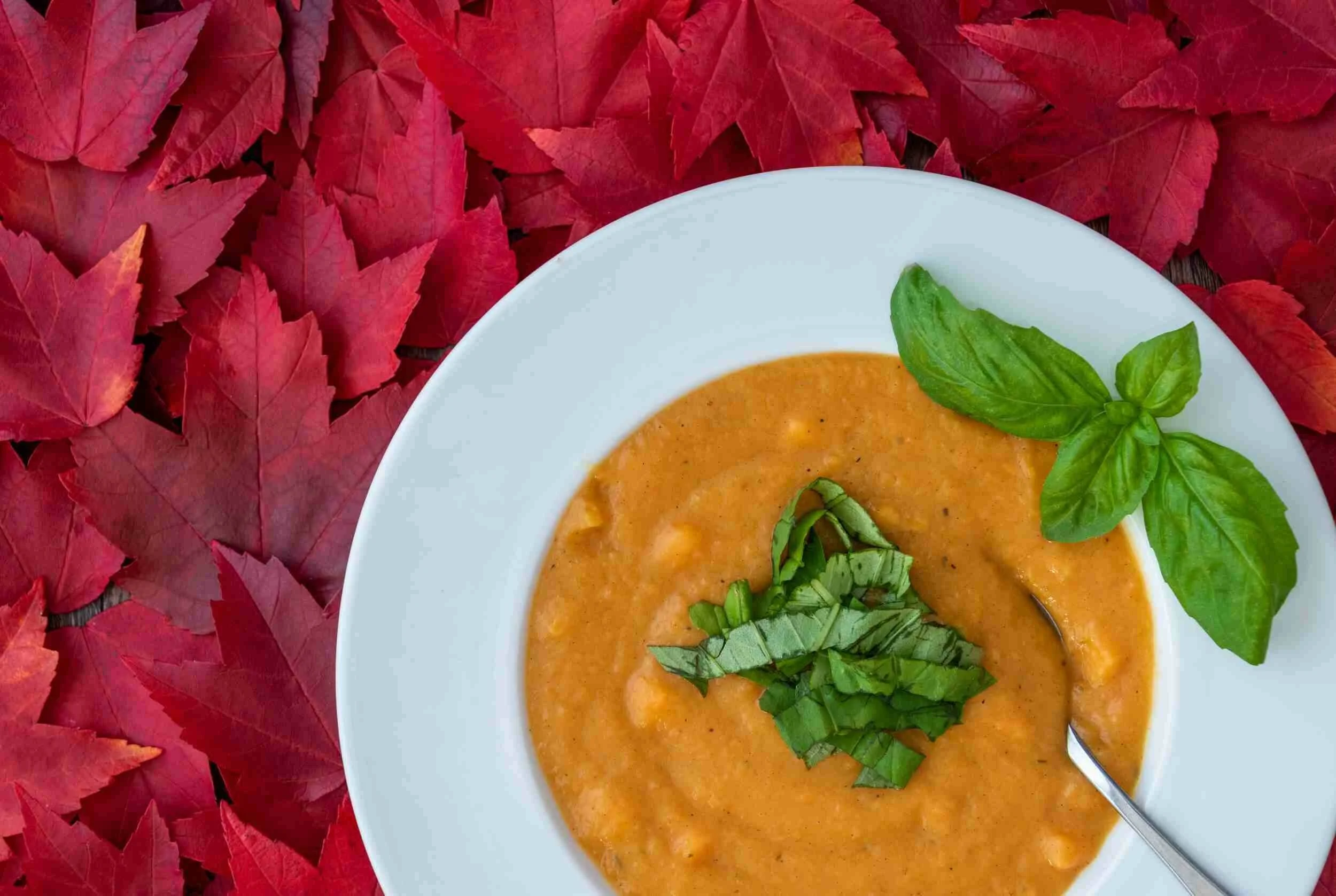 Pressure Cooker Butternut Squash Bisque