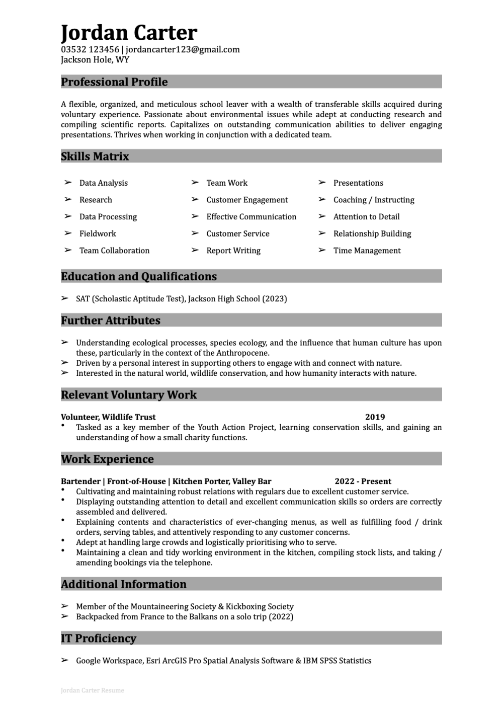 free sample resume with no work experience
