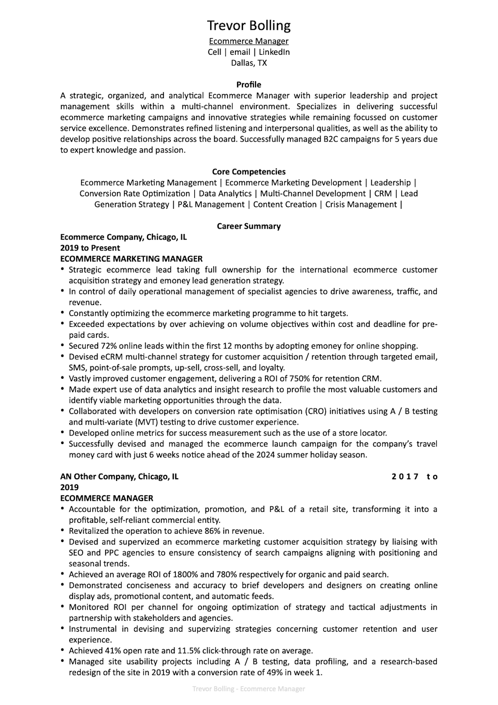 Ecommerce Marketing Manager resume example