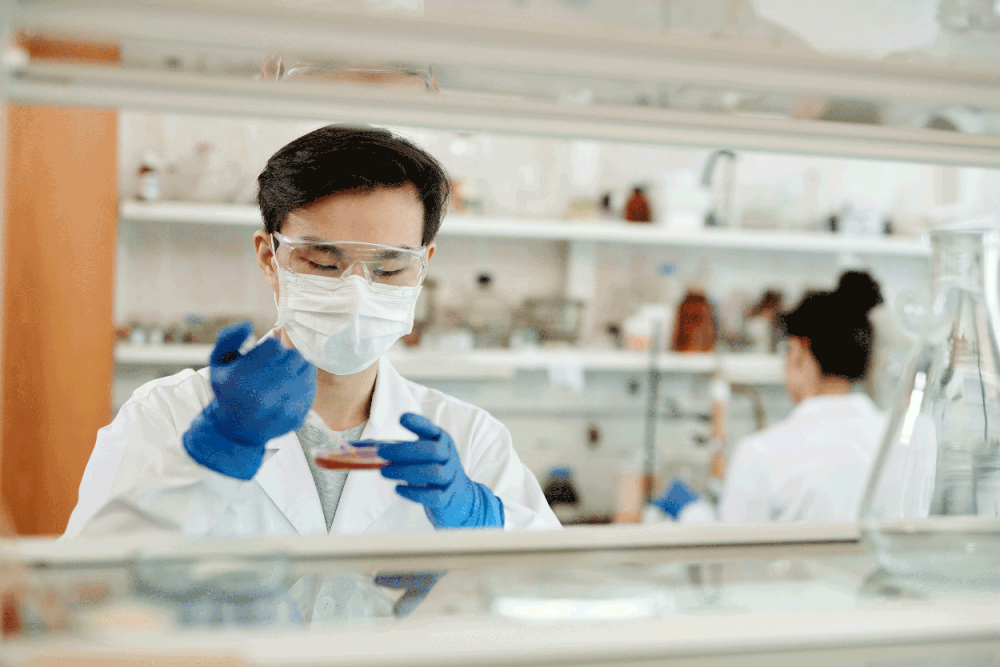 An Asian man wearing safety goggles, a face mask, a white lab coat and blue rubber gloves pipes an unknown substance into a petri dish. There is a woman in the background also wearing a white lab coat and blue rubber gloves. 