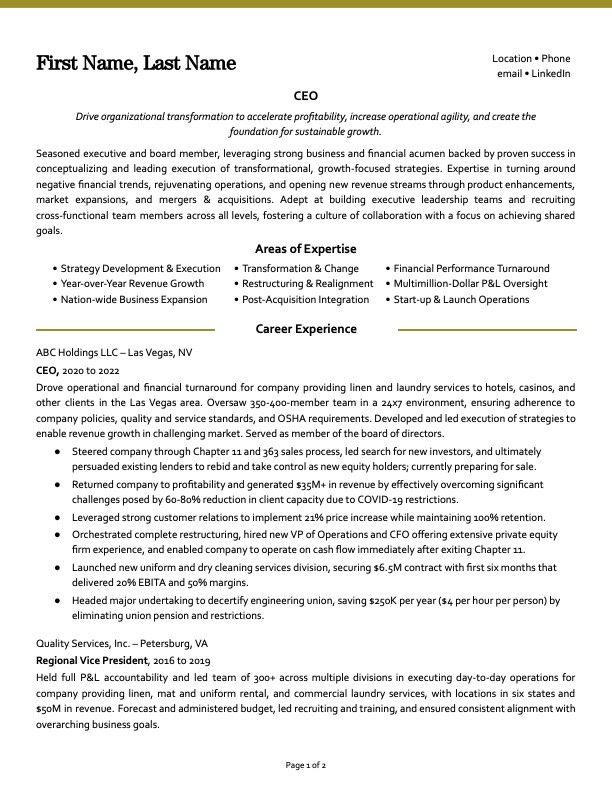ceo resume examples 2022