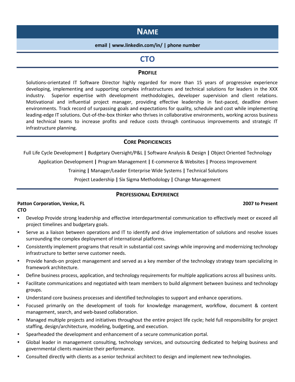 CTO Resume Template 0