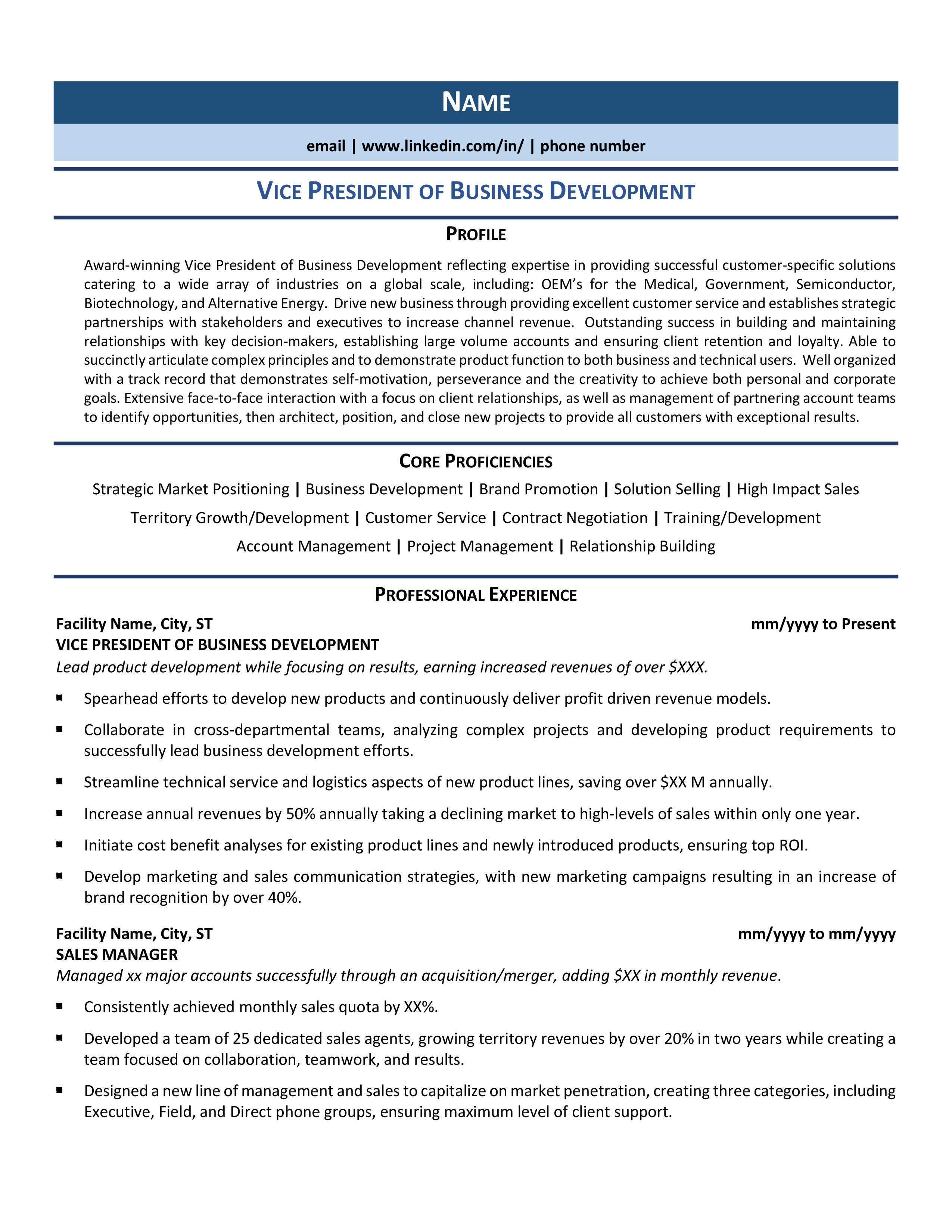 resume format for vice president