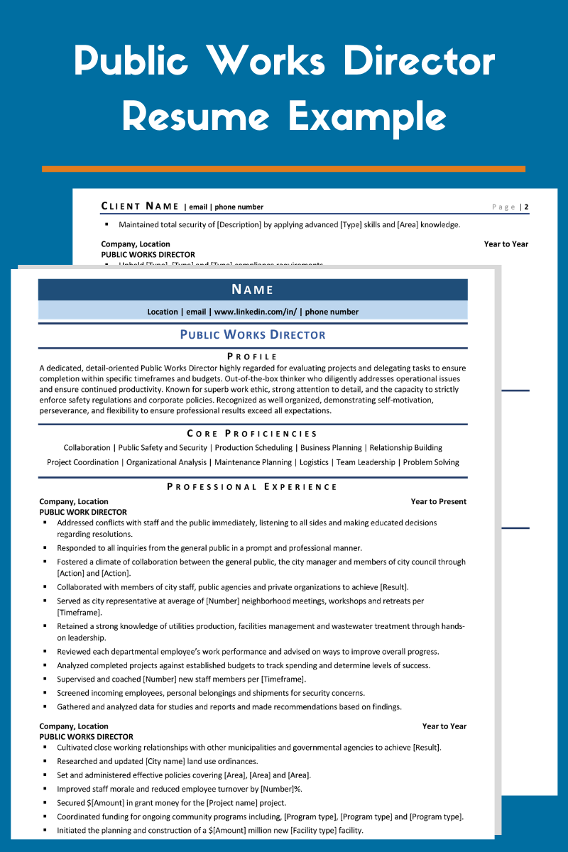 Public Works Director Resume Example