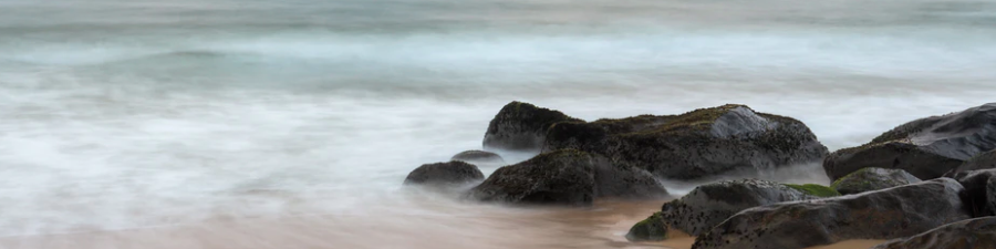 nature ocean shore upsplash