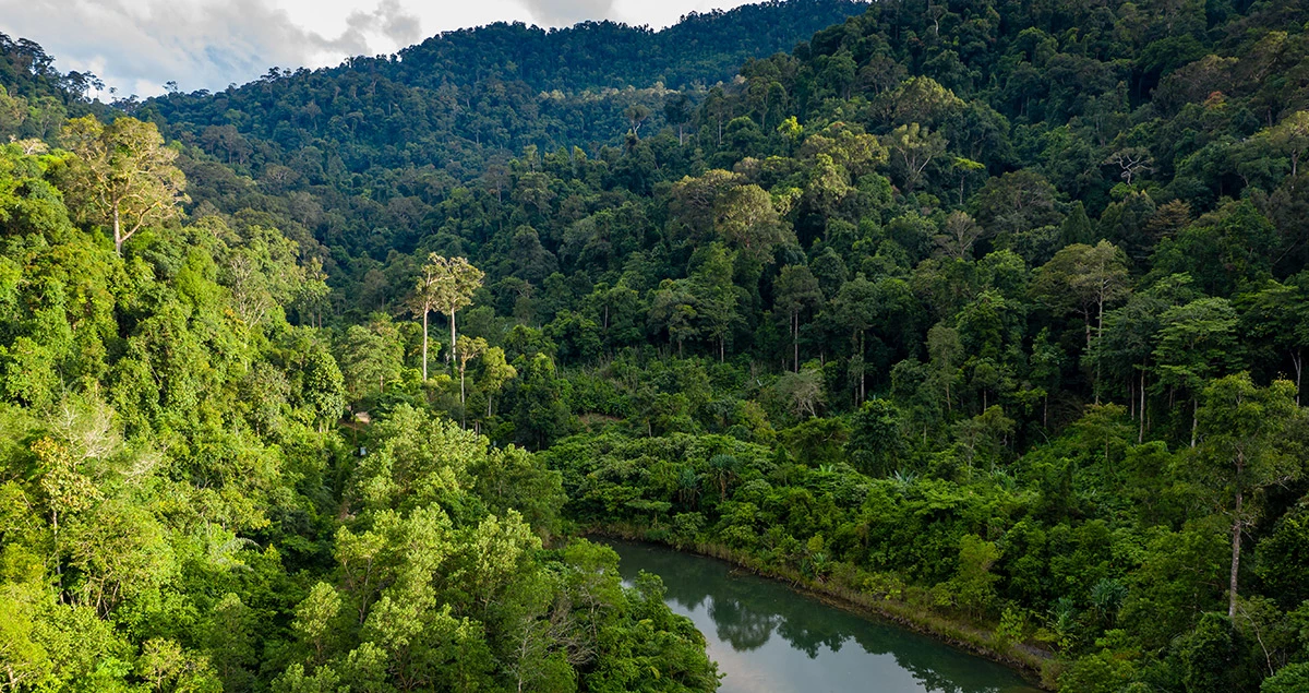 South East Asia's biodiversity worth $3 trillion a year