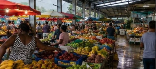 Explore the markets in Pointe-à-Pitre