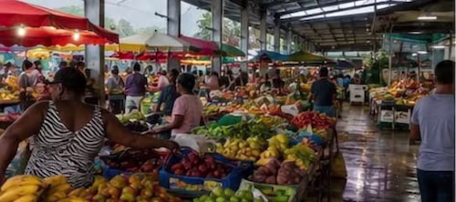 Explore the markets in Pointe-à-Pitre