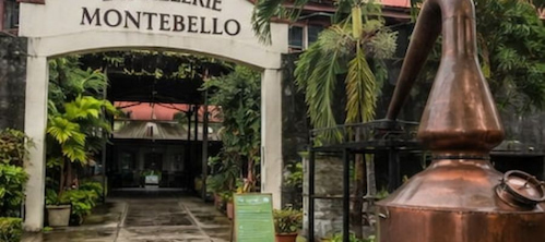 Visit a Guadeloupe rum distillery