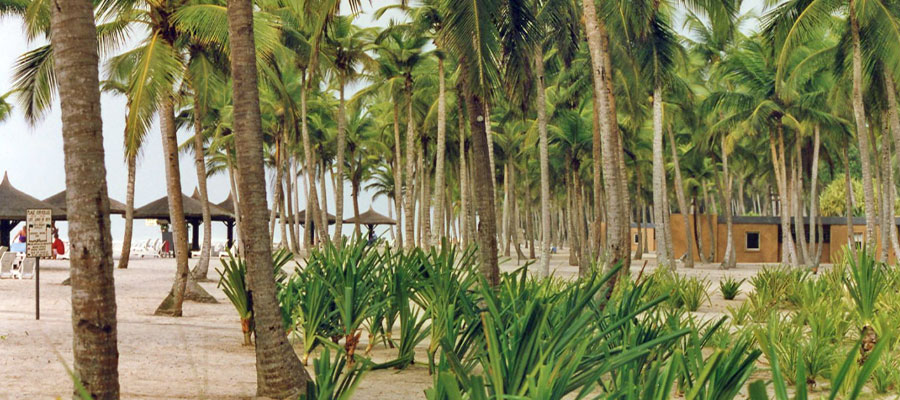 plage-hotel-assinie
