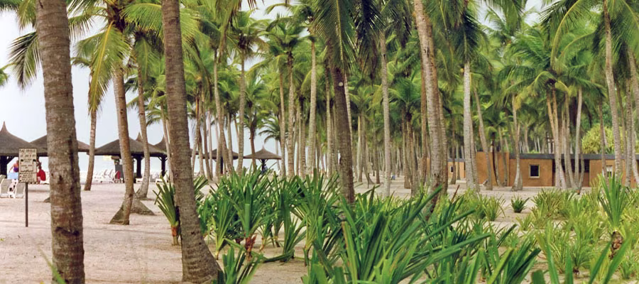plage-hotel-assinie