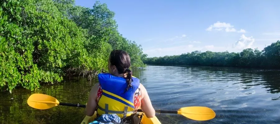 KAYAK EN EL REFUGIO NACIONAL DE VIDA SILVESTRE