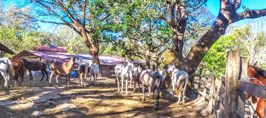 ranch-au-guanacaste