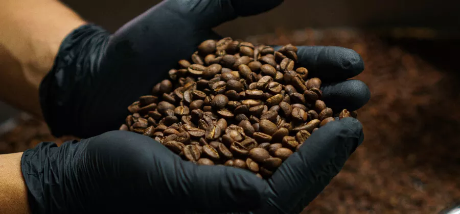 Quel café choisir 