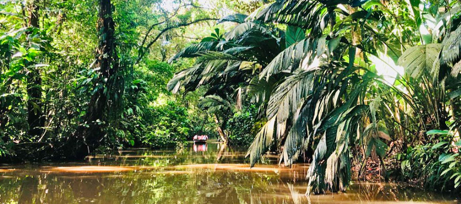 tortuguero-canals