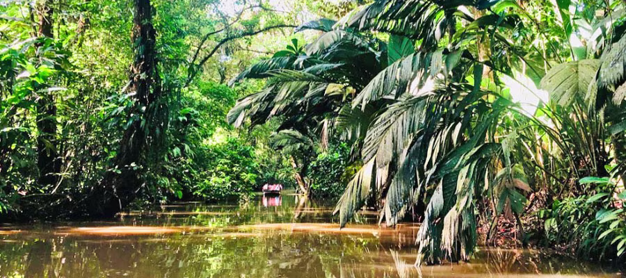 tortuguero-canals