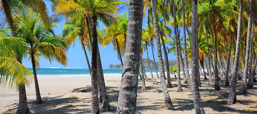 Playa-Corillia-samara