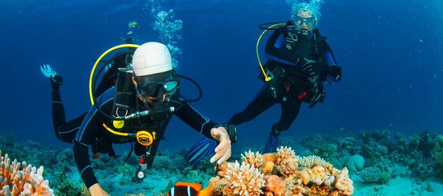 FAIRE UN BAPTÊME DE PLONGÉE SUR LES FONDS MARINS