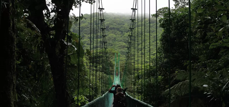 MONTEVERDE NATURAL RESERVE