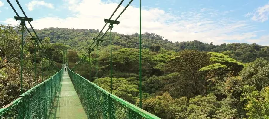 NUAGES DU PARC DE MONTEVERDE