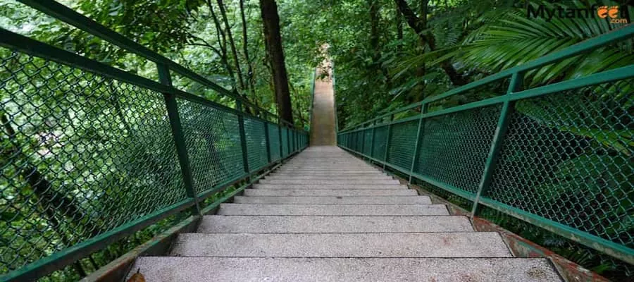 Fortuna Waterfall Steps