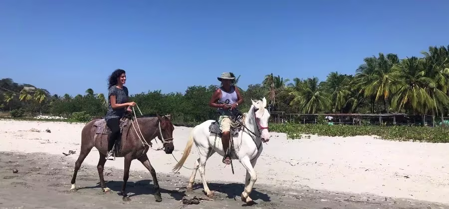 SUCEDE A CABALLO