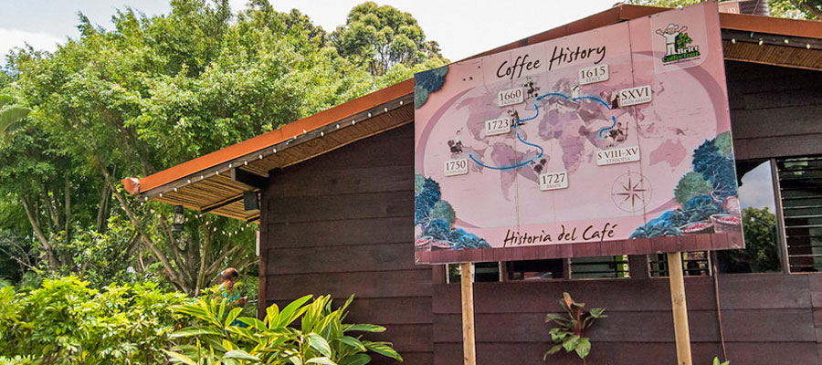 Cafe-Britt-Coffee-Tour