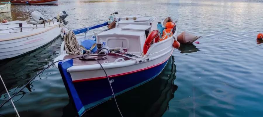 Faire une sortie pêche