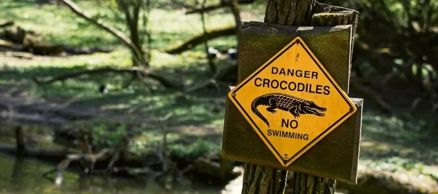 Où voir des crocodiles au Costa Rica