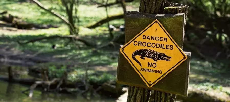Dónde ver cocodrilos en Costa Rica INFORMACIÓN PRÁCTICA