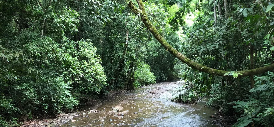PARQUE NACIONAL CARARA