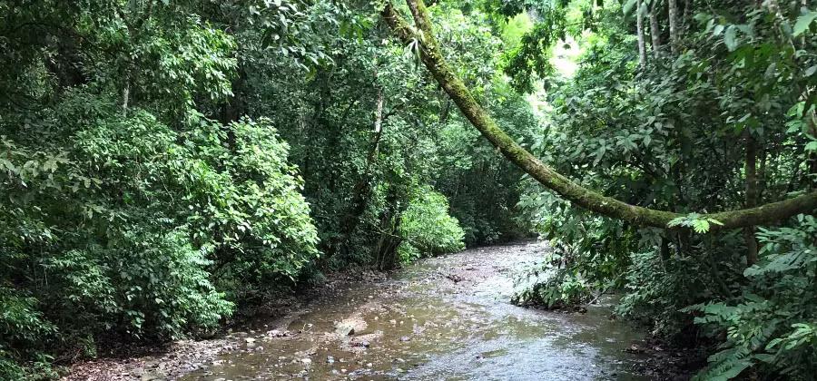 PARQUE NACIONAL CARARA