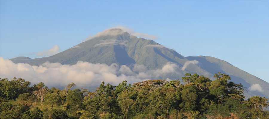 Volcan-Tenorio