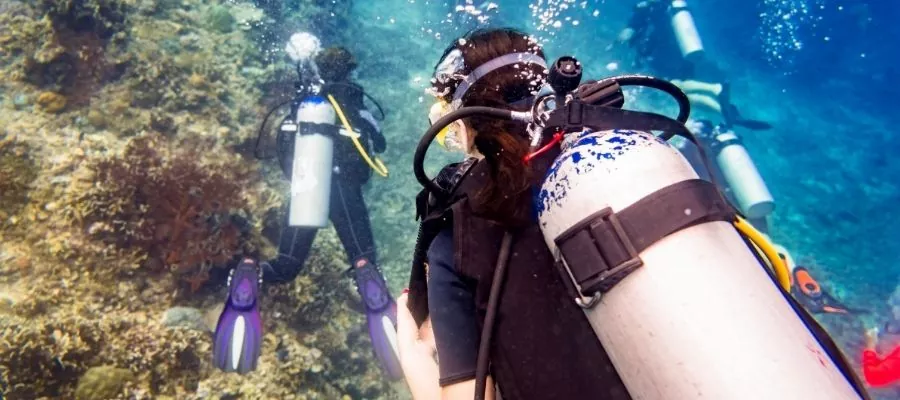 Go diving