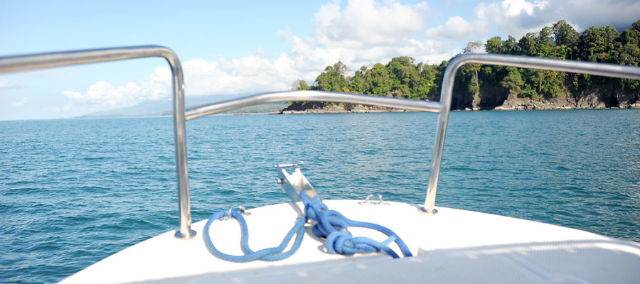 whale-tour-boat