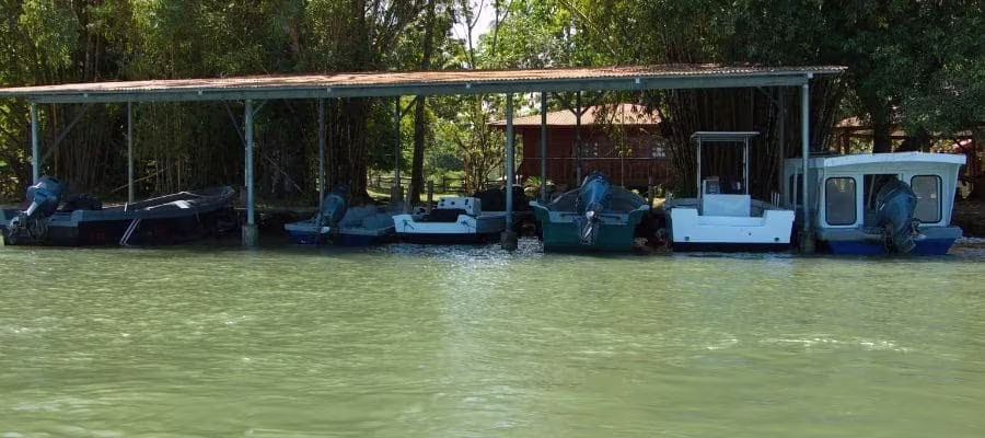 Cómo llegar a Tortuguero