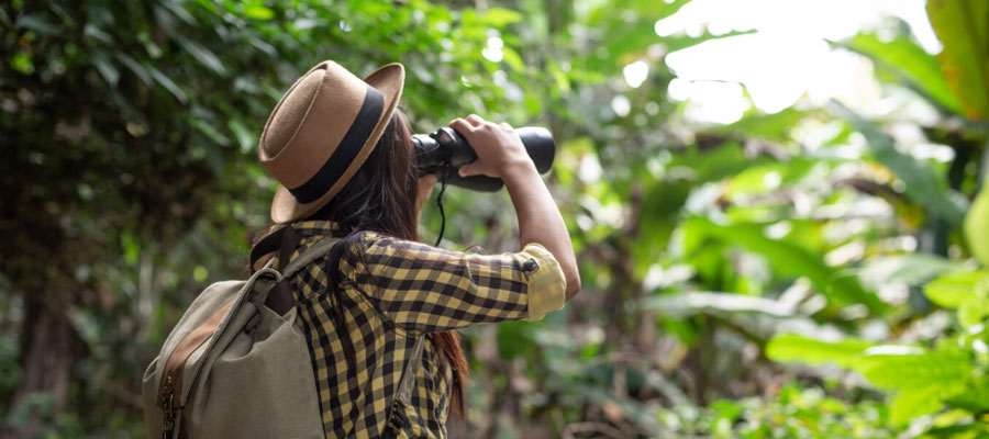 observation-wildlife
