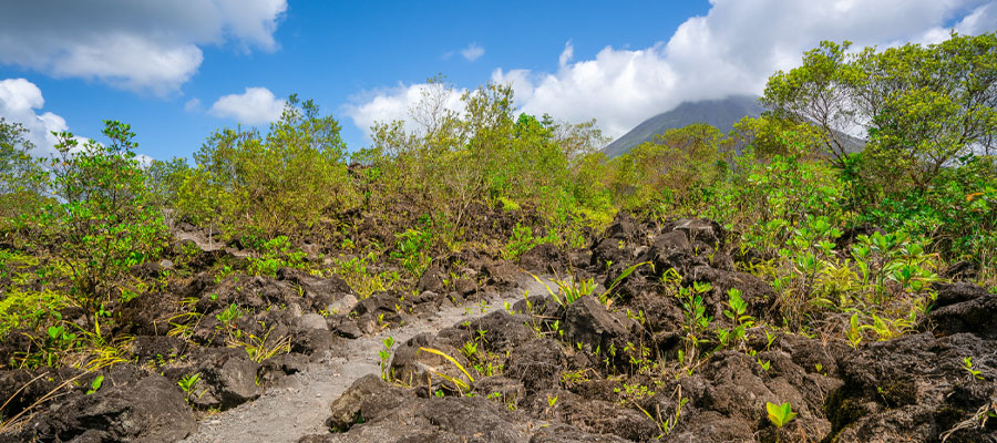lava-road-arenal
