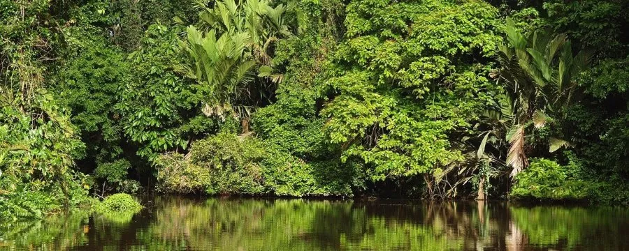 canales de Tortuguero