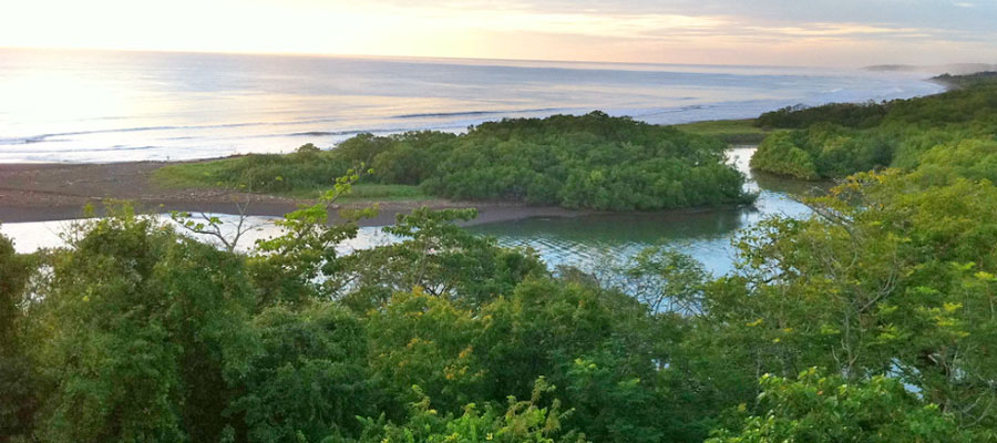 Nosara-Biological-Reserve