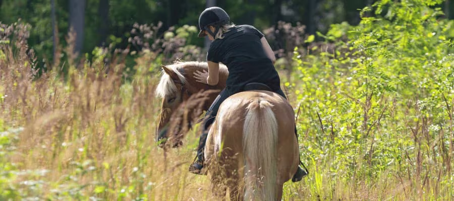 Faire une balade à cheval