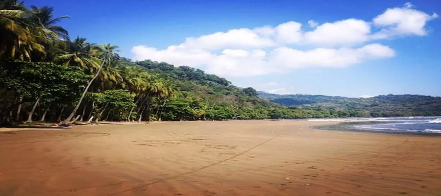 Playa Dominicalito costa rica (1)
