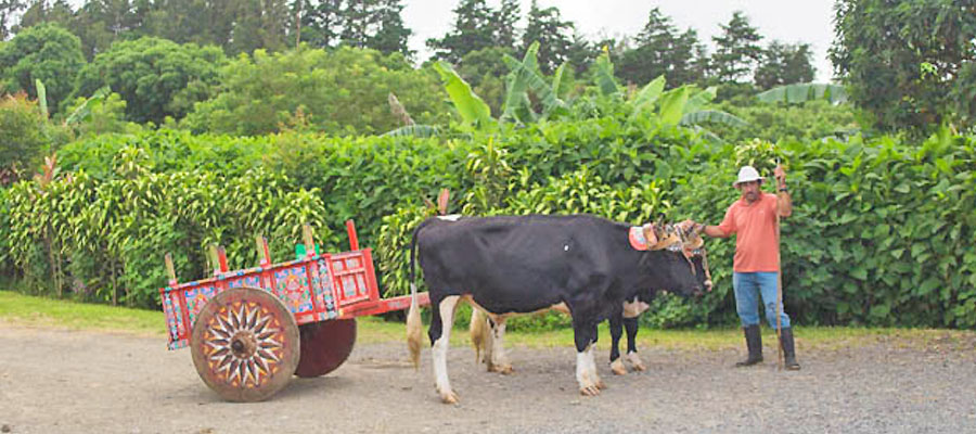 Don-Juan-Coffee-Tour