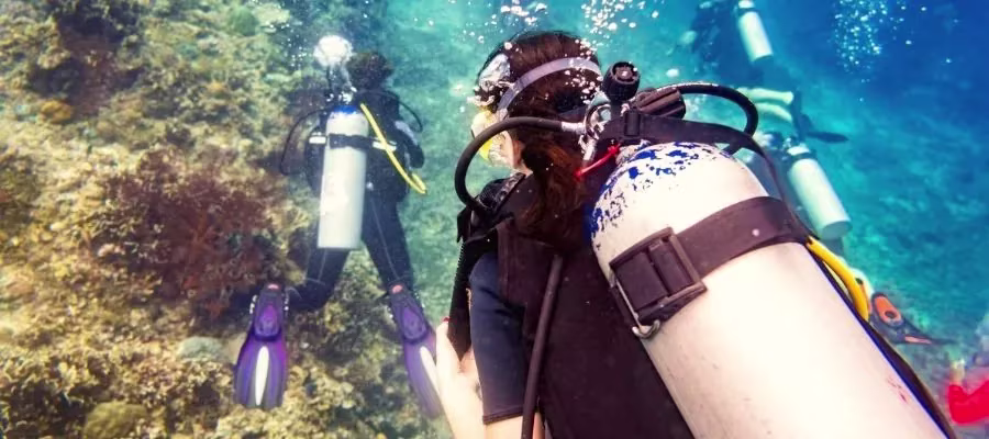 SNORKELING AND SCUBA DIVING
