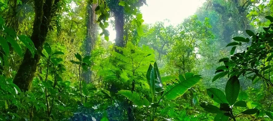 HABITAT NATUREL